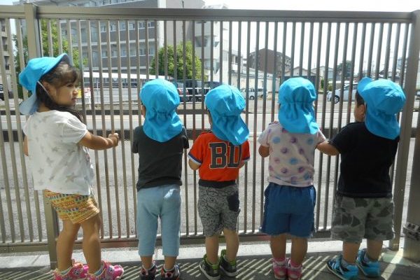 みんなで散歩楽しいね