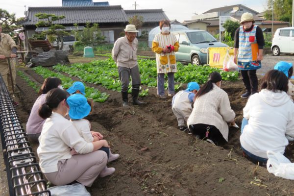 さつまいも掘りをしたよ