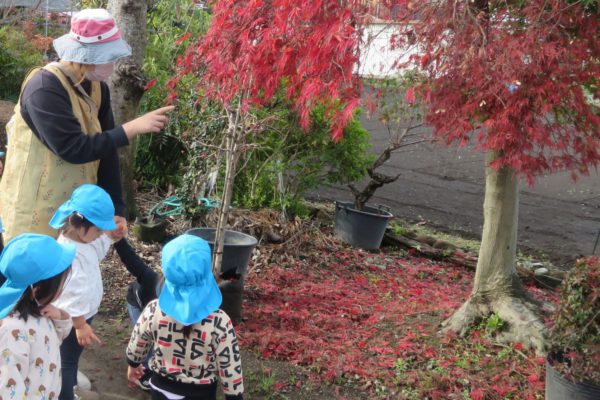 お散歩大好き！